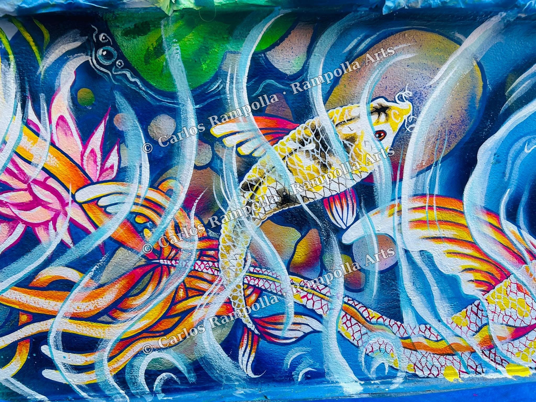 Abstract Floral Composition by Carlos Rampolla